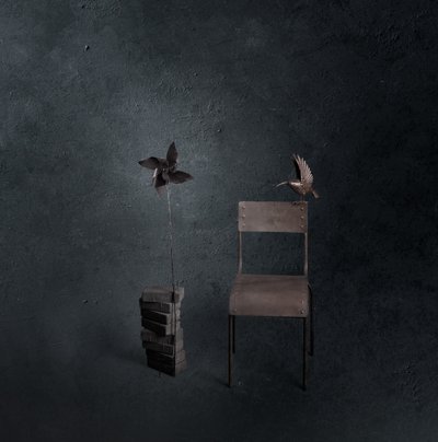 Dunkler Vogel leerer Stuhl von chenyi wang