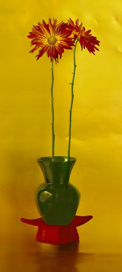 Lebendiges Blumen-Stillleben von jlloydphoto