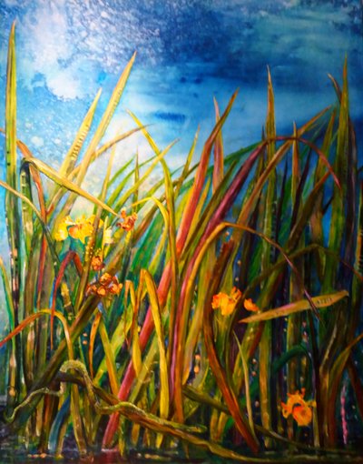 Wilde Iris Wasserschlange, 2017 von jocasta shakespeare