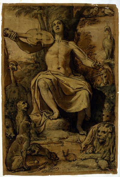 Orpheus verzaubert die Tiere mit der Musik einer Geige. Zeichnung von Federico Zuccari (1542 - 1609) von or Zuccaro Federico Zuccari