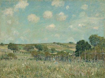Wiese, 1875 von Alfred Sisley