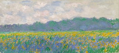 Feld der gelben Schwertlilien in Giverny, 1887 von Claude Monet