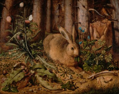 Ein Hase im Wald von Hans Hoffmann