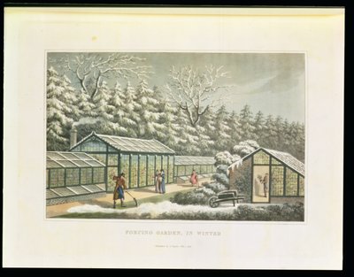 Forcing Garden im Winter, aus Fragmenten der Theorie und Praxis der Landschaftsgärtnerei , Pub. 1816 von Humphry Repton