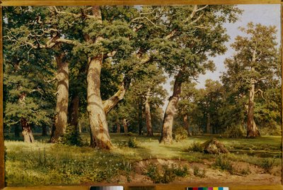 Eichenhain, 1887 von Ivan Ivanovich Shishkin