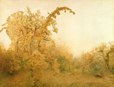 The Old Pear Tree von John William North