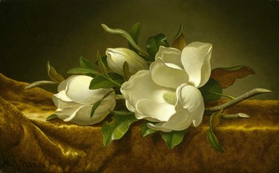 Magnolien auf Gold Samt Tuch von Martin Johnson Heade
