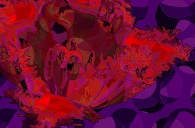 Rote Tulpe (digital) von Scott J. Davis