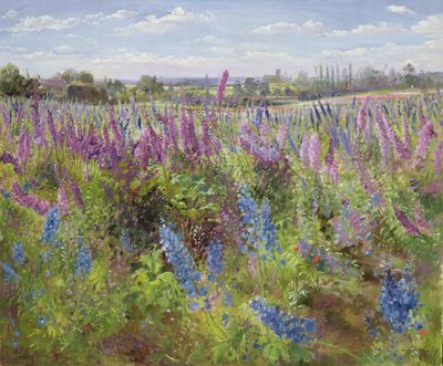 Delphiniums und Mohnblumen, 1991 von Timothy Easton