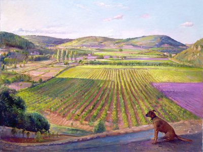 Beobachtung von den Mauern, alte Provence, 1993 von Timothy Easton