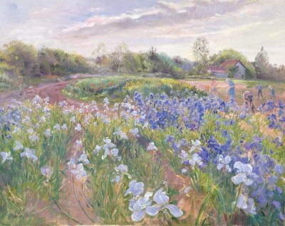 Sunsparkle auf Irises, 1996 von Timothy Easton