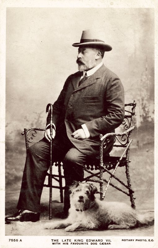 Der verstorbene König Edward VII. mit seinem Lieblingshund Caesar von (after) English photographer
