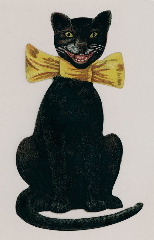 Schwarze Katze mit gelber Schleife von American School