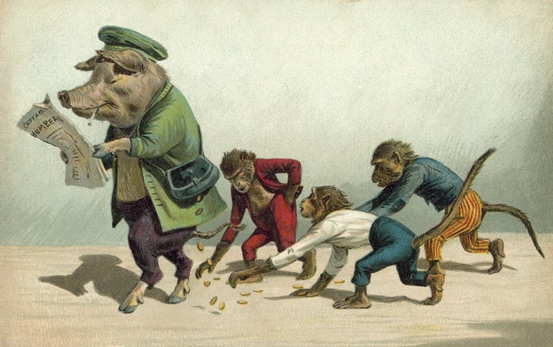 Affen sammeln Münzen, die ein Schwein fallen ließ von French Photographer