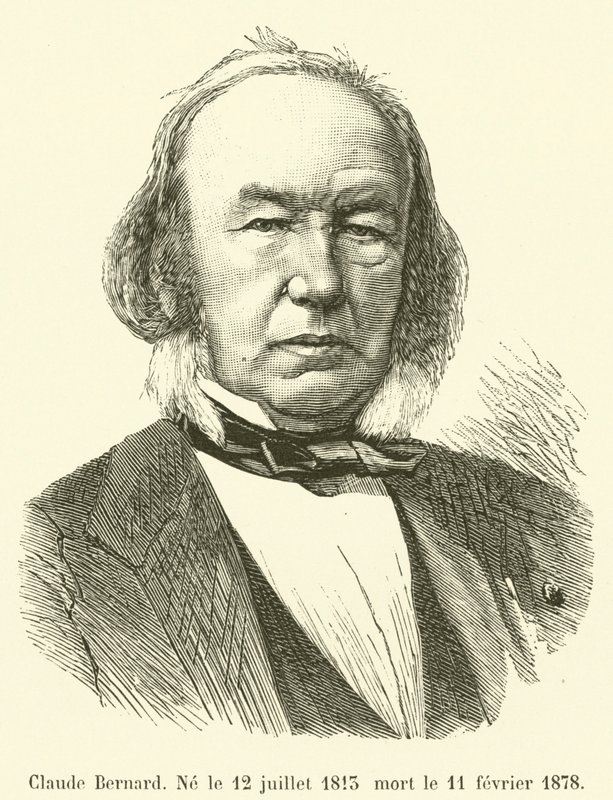 Claude Bernard, geboren am 12. Juli 1813, gestorben am 11. Februar 1878 von French School
