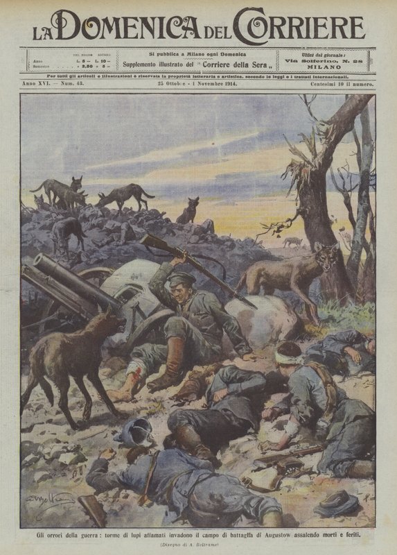 Die Schrecken des Krieges, hungrige Wolfsrudel überfallen das Schlachtfeld von Augustow und greifen Tote und Verwundete an von Achille Beltrame