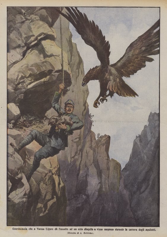 Wildhüter in Varese Ligure, der beim Angriff auf ein Adlernest überrascht wird von Achille Beltrame