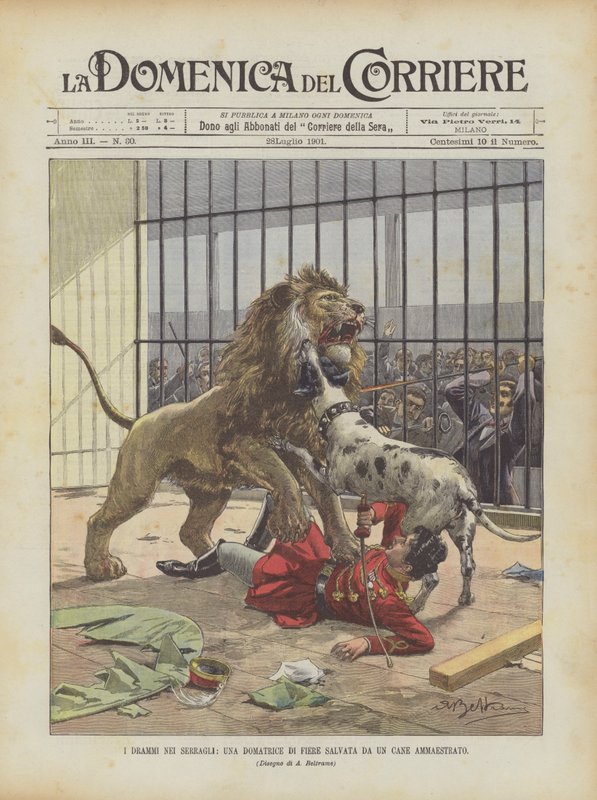 Die Dramen in den Menagerien, eine Tierdompteuse von einem trainierten Hund gerettet von Achille Beltrame