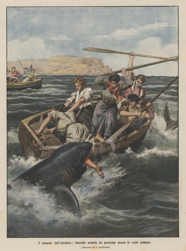 Die Dramen der Adria, Mädchen von Haien an der dalmatinischen Küste angegriffen von Achille Beltrame