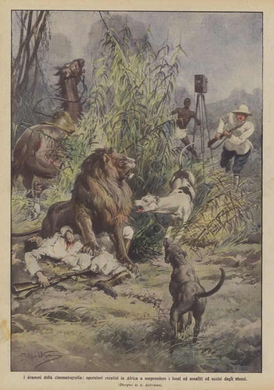 Die Dramen der Kinematographie, Kameraleute in Afrika von Löwen angegriffen von Achille Beltrame