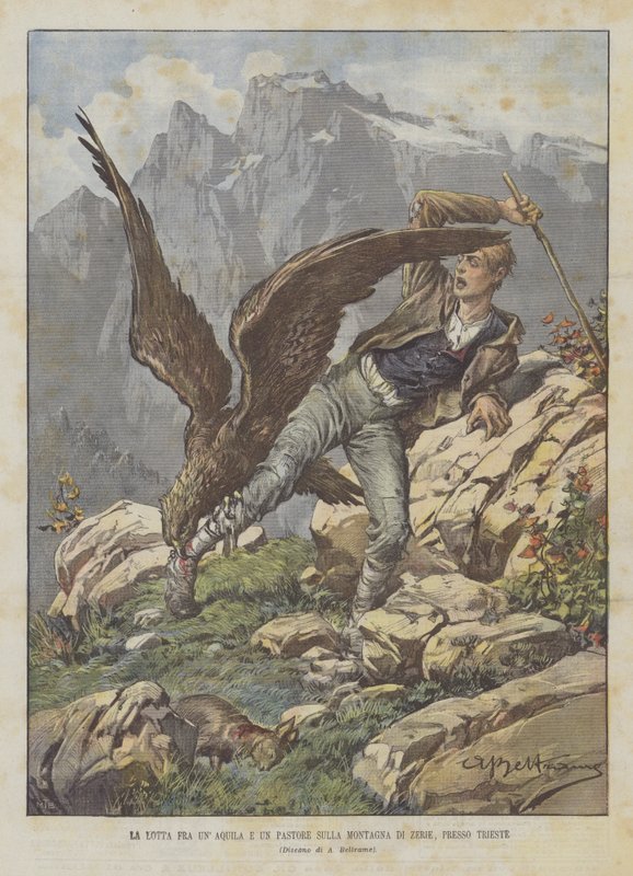 Der Kampf zwischen einem Adler und einem Hirten auf dem Berg Zerie bei Triest von Achille Beltrame
