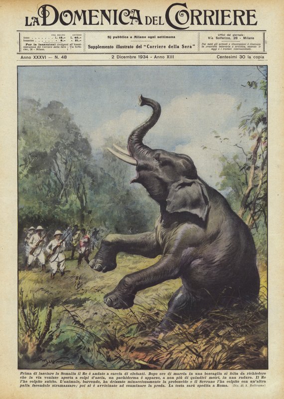 Bevor er Somalia verließ, ging der König auf Elefantenjagd von Achille Beltrame