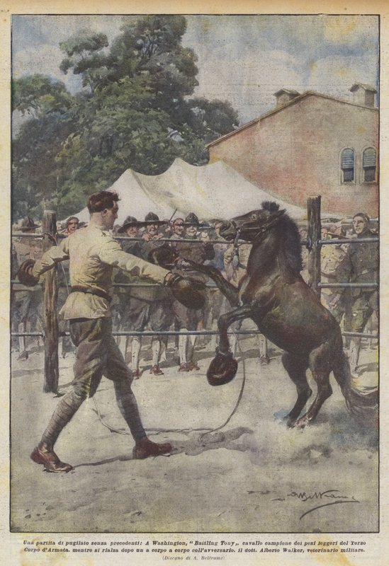Ein beispielloser Boxkampf, in Washington, Battling Tony, der Champion der Schwergewichte... von Achille Beltrame