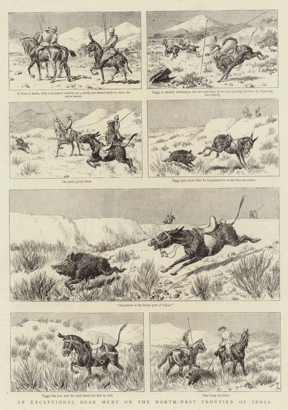 Eine außergewöhnliche Wildschweinjagd an der Nordwestgrenze Indiens von Adrien Emmanuel Marie