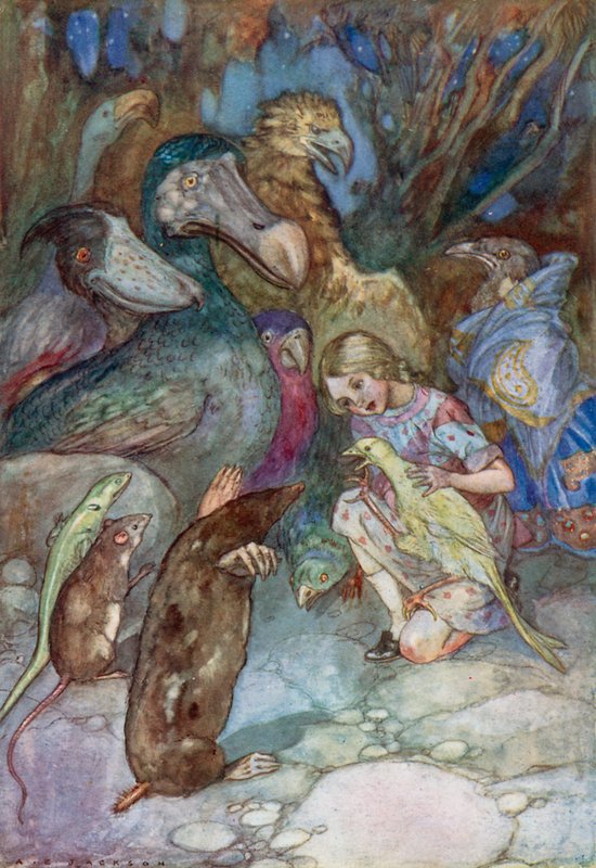Illustration für Alice im Wunderland von Albert Edward Jackson