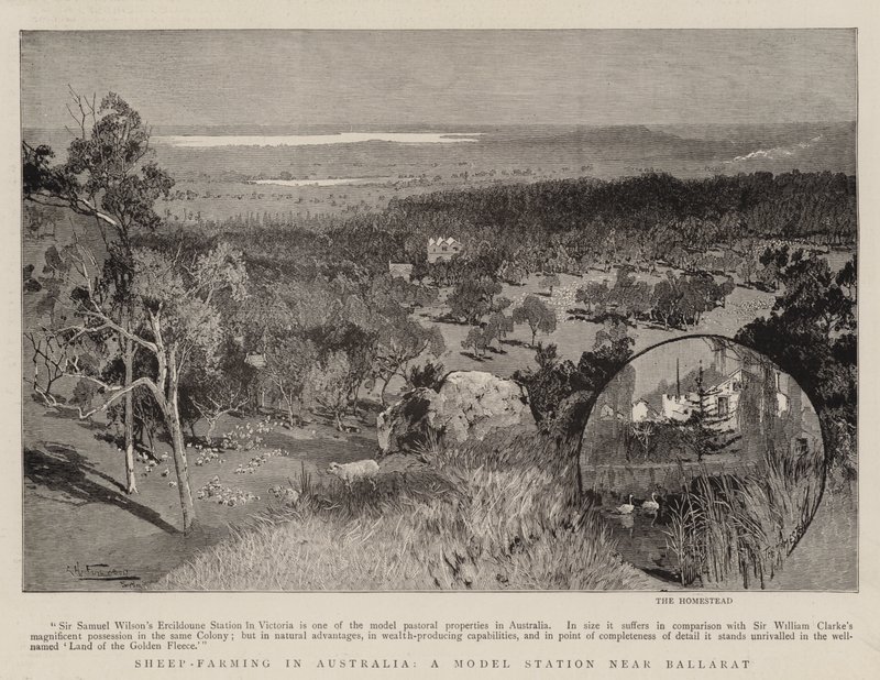 Schafzucht in Australien, eine Modellstation in der Nähe von Ballarat von Albert Henry Fullwood