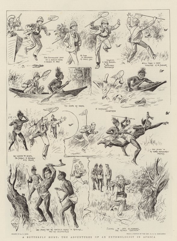 Eine Schmetterlingsjagd, die Abenteuer eines Entomologen in Afrika von Alexander Stuart Boyd