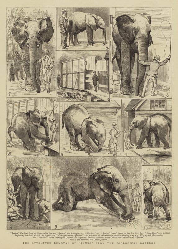 Der versuchte Abtransport von Jumbo aus dem Zoologischen Garten von Alfred Chantrey Corbould
