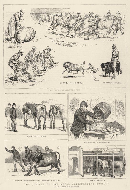 Das Jubiläum der Royal Agricultural Society von Alfred Chantrey Corbould