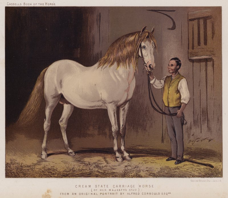 Cream State Kutschpferd, aus dem Gestüt Ihrer Majestät von Alfred Chantrey Corbould