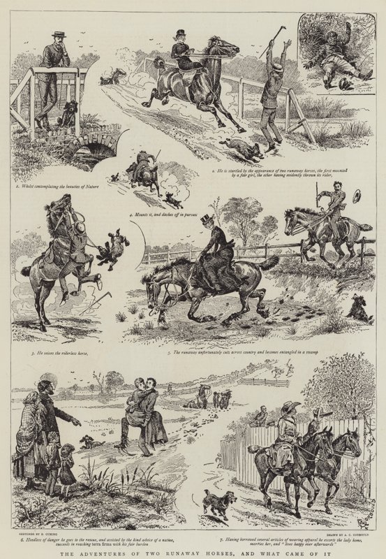 Die Abenteuer von zwei entlaufenen Pferden und was daraus wurde von Alfred Chantrey Corbould