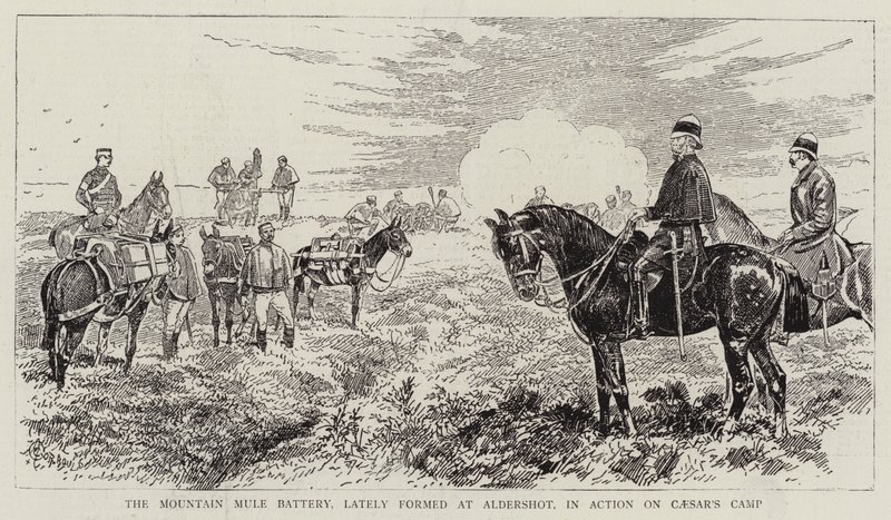 Die Gebirgs-Maultierbatterie, kürzlich in Aldershot gebildet, im Einsatz auf Caesars Lager von Alfred Chantrey Corbould
