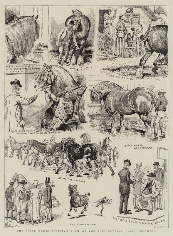Die Show der Shire Horse Society in der Agricultural Hall, Islington von Alfred Chantrey Corbould