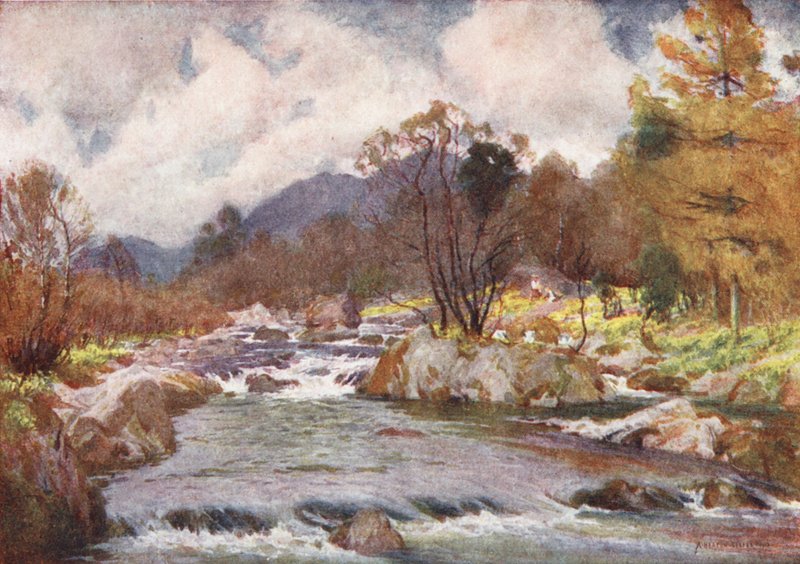 Lake District: Narzissen an den Ufern des silbernen Duddon von Alfred Heaton Cooper
