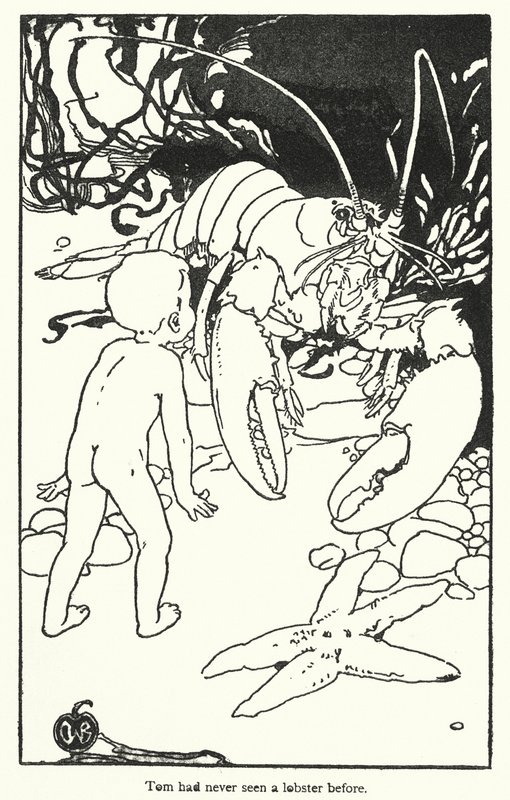 Illustration für Die Wasser-Babys von Charles Kingsley von Alice Bolingbroke (after) Woodward