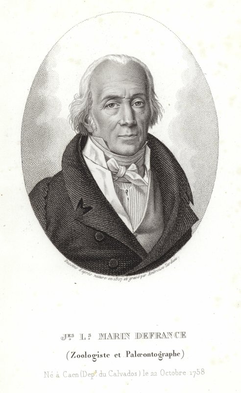 Jacques-Louis Marin de France von Ambroise Tardieu