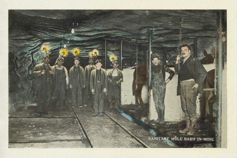 Amerikanischer Kohlebergbau: Sanitärer Maultierstall in der Mine von American Photographer