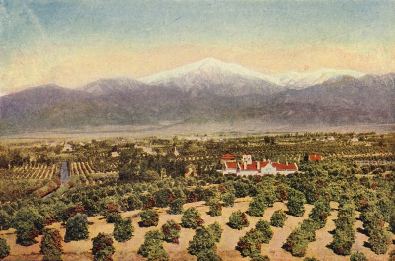 Unter den Orangenhainen bei Riverside von American Photographer