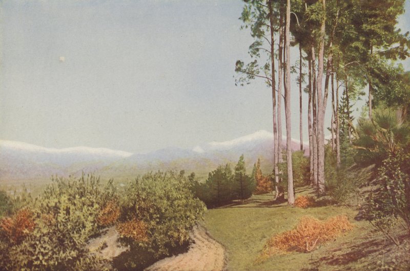 "Old Baldy," von Smiley Heights, Kalifornien von American Photographer