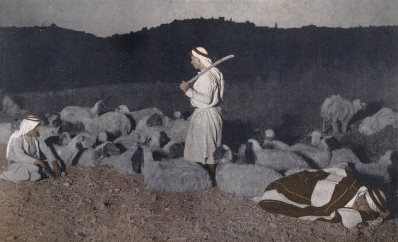 Palästinensische Hirten, die nachts ihre Herde bewachen von American Photographer