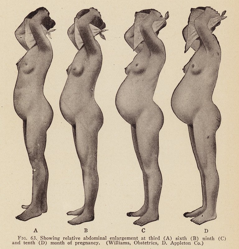 Anzeichen und Symptome der Schwangerschaft von American Photographer