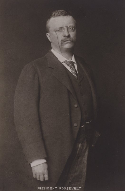Theodore Roosevelt, 26. Präsident der Vereinigten Staaten, 1904 von American Photographer