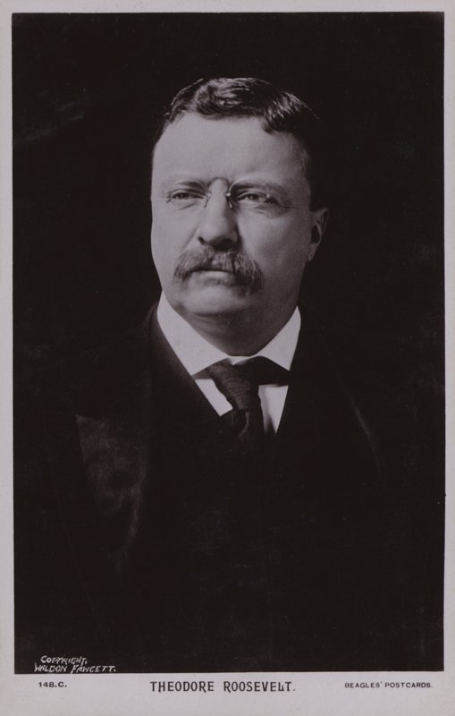 Theodore Roosevelt, amerikanischer Politiker und 26. Präsident der Vereinigten Staaten von American Photographer