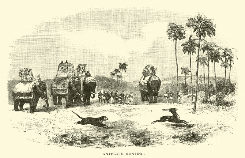 Antilopenjagd von American School