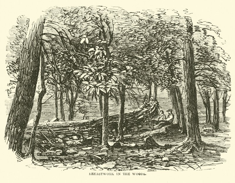 Schanzwerk im Wald, Juli 1863 von American School