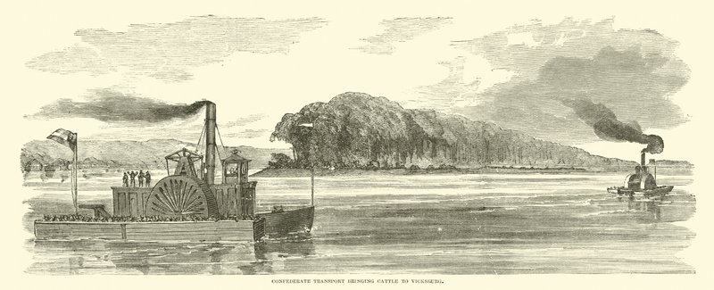 Konföderierter Transport bringt Vieh nach Vicksburg, Februar 1863 von American School